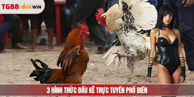 3 hình thức đấu kê trực tuyến phổ biến