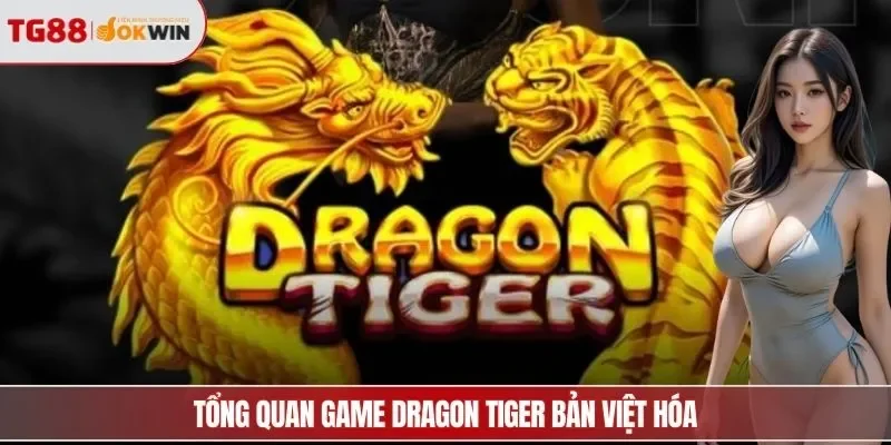 Tổng quan game Dragon Tiger bản việt hóa