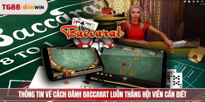 Thông tin về cách đánh baccarat luôn thắng hội viên cần biết