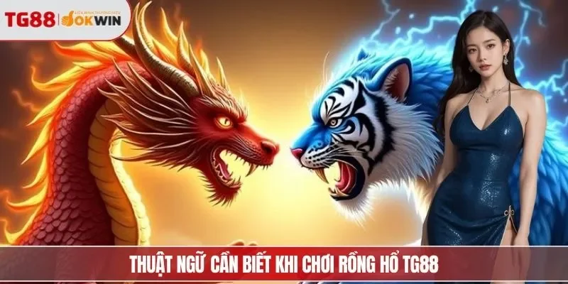 Thuật ngữ cần biết khi chơi rồng hổ TG88